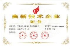2020年高新技術企業(yè)
