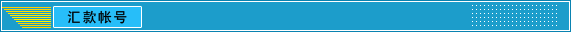中國(guó)政府采購(gòu)招標(biāo)網(wǎng)企業(yè)概況之匯款帳號(hào)